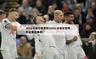 2022卡塔尔世界杯(2022卡塔尔世界杯比赛结果表)