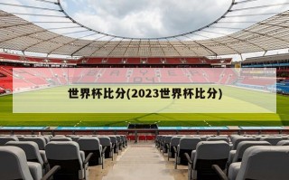 世界杯***(2023世界杯***)