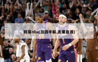 网易nba(往因半解,去果自渡)